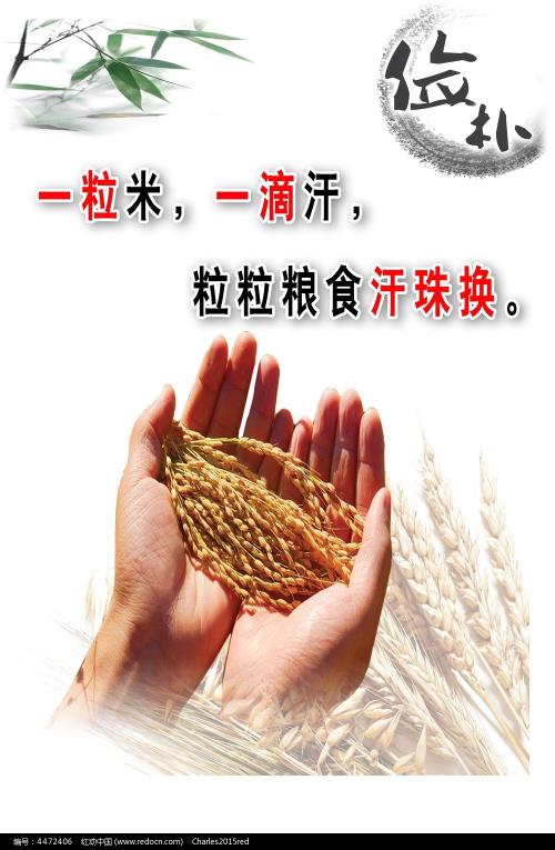 购买假巴勒斯坦签证